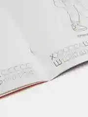 Лайм наборы раскрасок по 1, 4, 7, 10, 15 и 20 штук