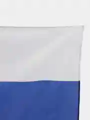 Желтый флаги / Флажки : Россия, 9 Мая, День Победы