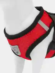 Голубой шлейка для собак и кошек, поводок