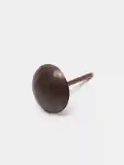 Медный мебельные гвозди обивочные декоративные, 100 штук