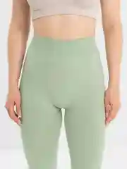 Зеленый легинсы Giulia Leggings 01
