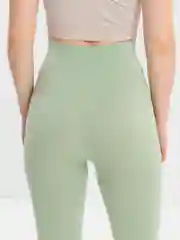 Зеленый легинсы Giulia Leggings 01