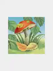 4 кубика Baby Step "На полянке"