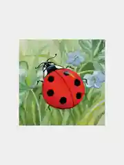 4 кубика Baby Step "На полянке"