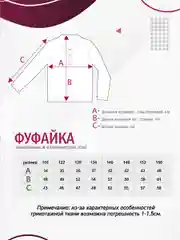 Рубашка-поло для мальчика N.O.A  трикотажная с длинным рукавом