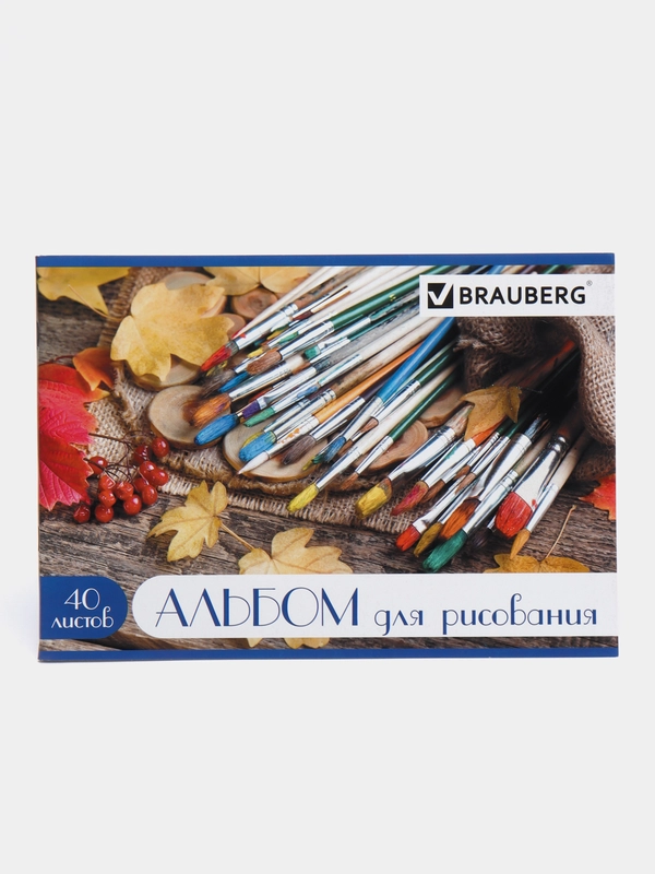 Альбом для рисования, А4, 40 л, скоба, блестки, BRAUBERG, 202 х 285 мм, "Палитра"