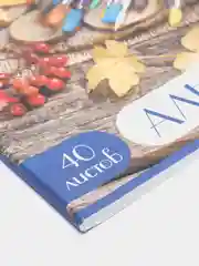 Альбом для рисования, А4, 40 л, скоба, блестки, BRAUBERG, 202 х 285 мм, "Палитра"