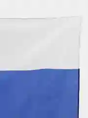 Разноцветный флаги Z & V