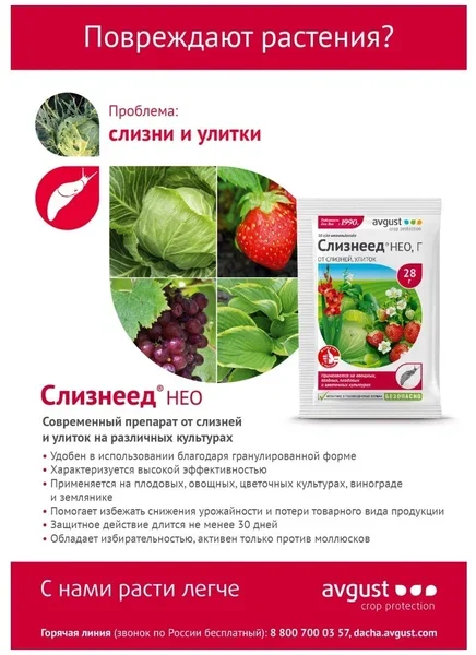 Слизнеед Нео, 56 г, препарат от слизней и улиток