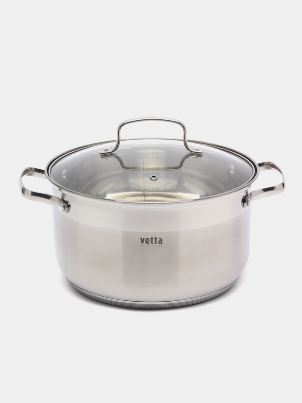 Кастрюля VETTA "Берн", со стеклянной крышкой, индукция, 24 х 14 см, 6,1 л