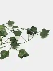 Тёмно-зелёный лиана листья искусственные. Для интерьера