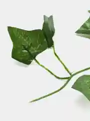 Тёмно-зелёный лиана листья искусственные. Для интерьера
