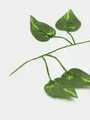 Лайм лиана листья искусственные. Для интерьера