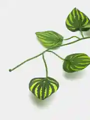 Зеленый лиана листья искусственные. Для интерьера