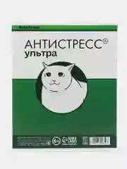 Голубой тетрадь в клетку "Уставшие котики", 48 листов