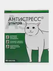 Зеленый тетрадь в клетку "Уставшие котики", 48 листов