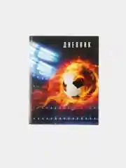 Школьный дневник для 5-11 классов, твердая ламинация