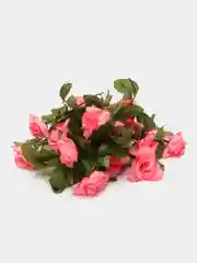 Розовый лиана с цветами и листьями искусственные. Для интерьера