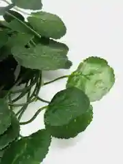 Зеленый лиана листья искусственные. Для интерьера