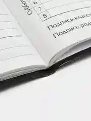 Медный дневник школьный 1-11 класс, А5, 40 листов