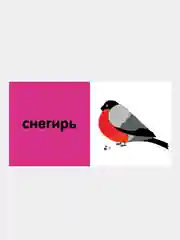 15 книжек-кубиков. Русский язык. Мои первые слова/Коллектив авторов