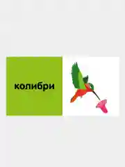 15 книжек-кубиков. Русский язык. Мои первые слова/Коллектив авторов