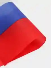 Флаг России, 14 х 21 см, шток 30 см