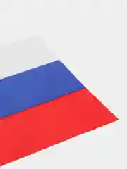 Флаг России, 14 х 21 см, шток 30 см