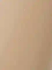 Крафтовая / крафт бумага в рулоне упаковочная, 720 мм x 150 м, 78 г/м2, Brauberg, 440185