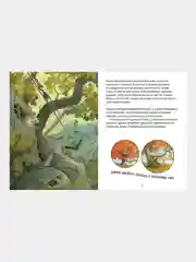 Книжки-картинки. Крошка Венди и дом на дереве /Ричардсон Стив