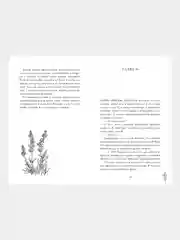 #trendbooks. Лавандовая ветвь/Хелена Хейл
