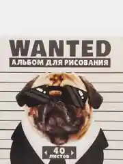 Белый альбом для рисования, 40 листов