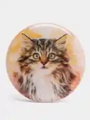 Тёмно-серый держатель для телефона PopSocket (попсокет), с рисунками