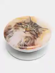 Тёмно-серый держатель для телефона PopSocket (попсокет), с рисунками