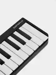 MIDI-контроллер, 25 клавиш LAudio EasyKey