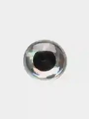 Серебряный рыбий 3D глаз