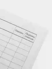 Дневник школьный для девочки 1-11 класс, ПИФАГОР, обложка картон, Котик, 106580
