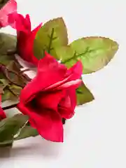 Бордовый лиана с цветами и листьями искусственные. Для интерьера