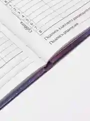 Аметистовый школьный дневник, 1-11 класс, твердая обложка