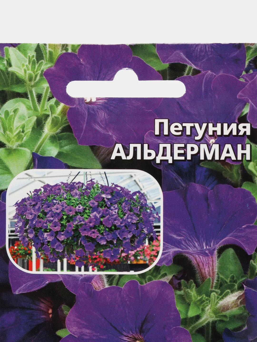 Петуния Альдерман, семена, цветы