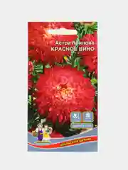 Астра Красное вино, семена, цветы