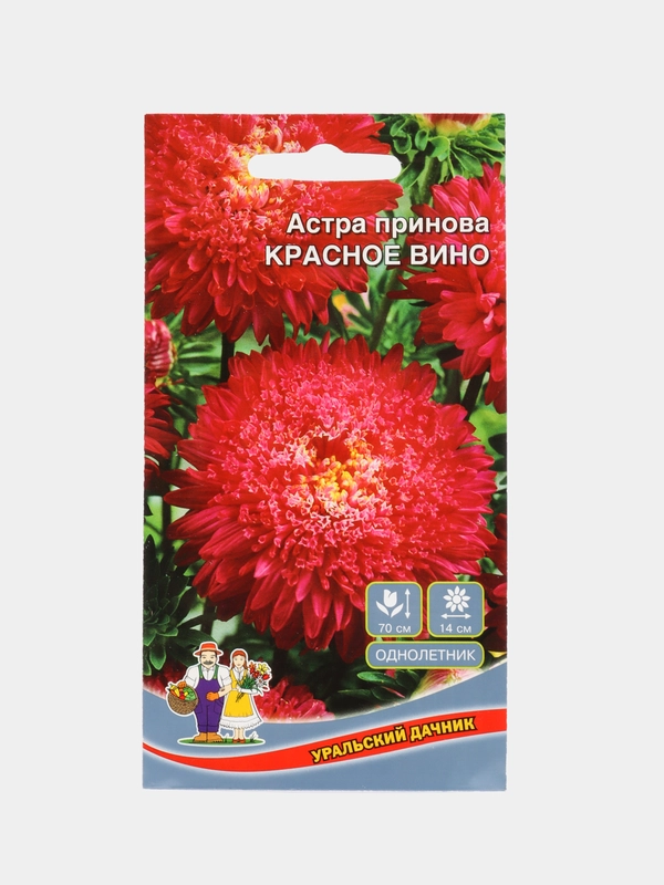 Астра Красное вино, семена, цветы