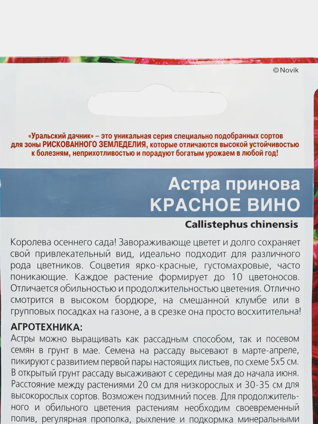 Астра Красное вино, семена, цветы
