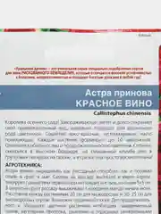 Астра Красное вино, семена, цветы