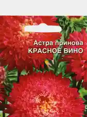 Астра Красное вино, семена, цветы