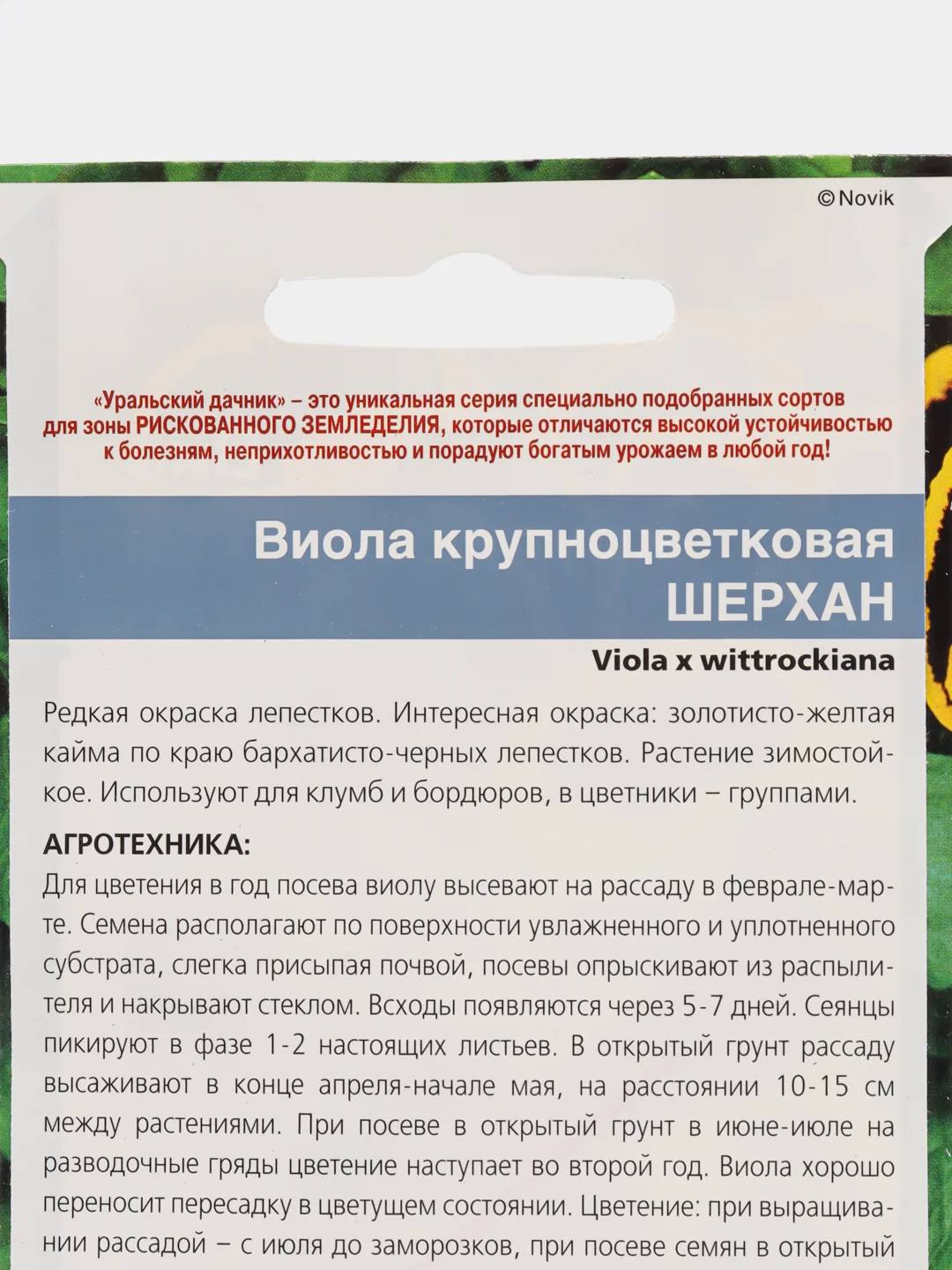 Виола крупноцветковая Шерхан (семена,цветы)