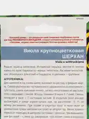 Виола крупноцветковая Шерхан (семена,цветы)
