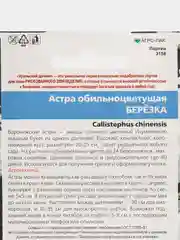 Астра обильноцветущая Березка, семена, цветы