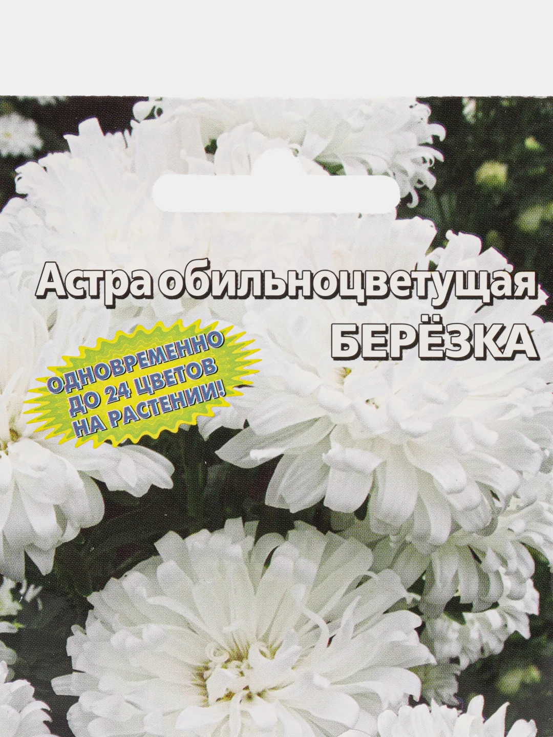 Астра обильноцветущая Березка, семена, цветы