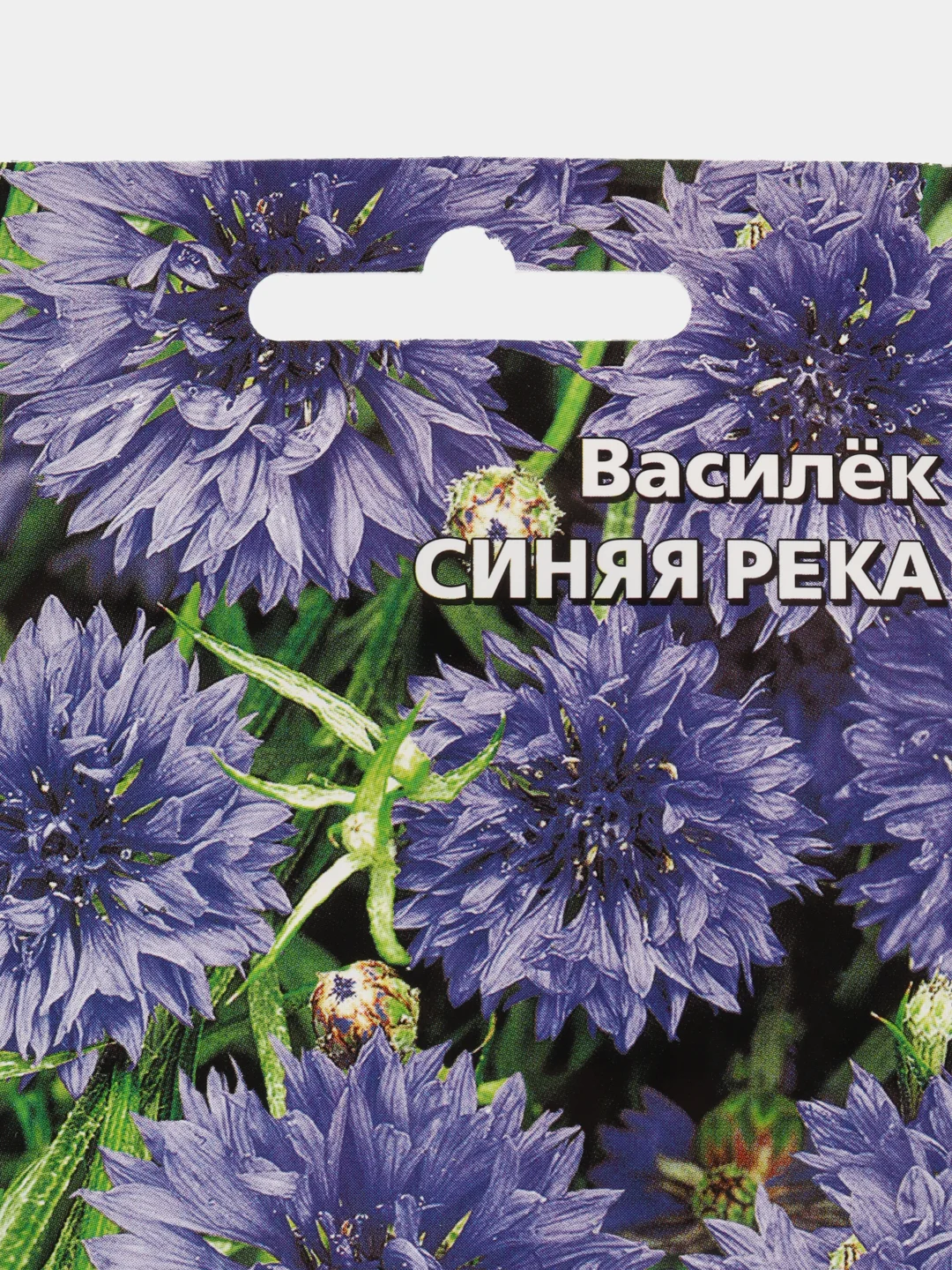 Василек "Синяя река", семена, цветы